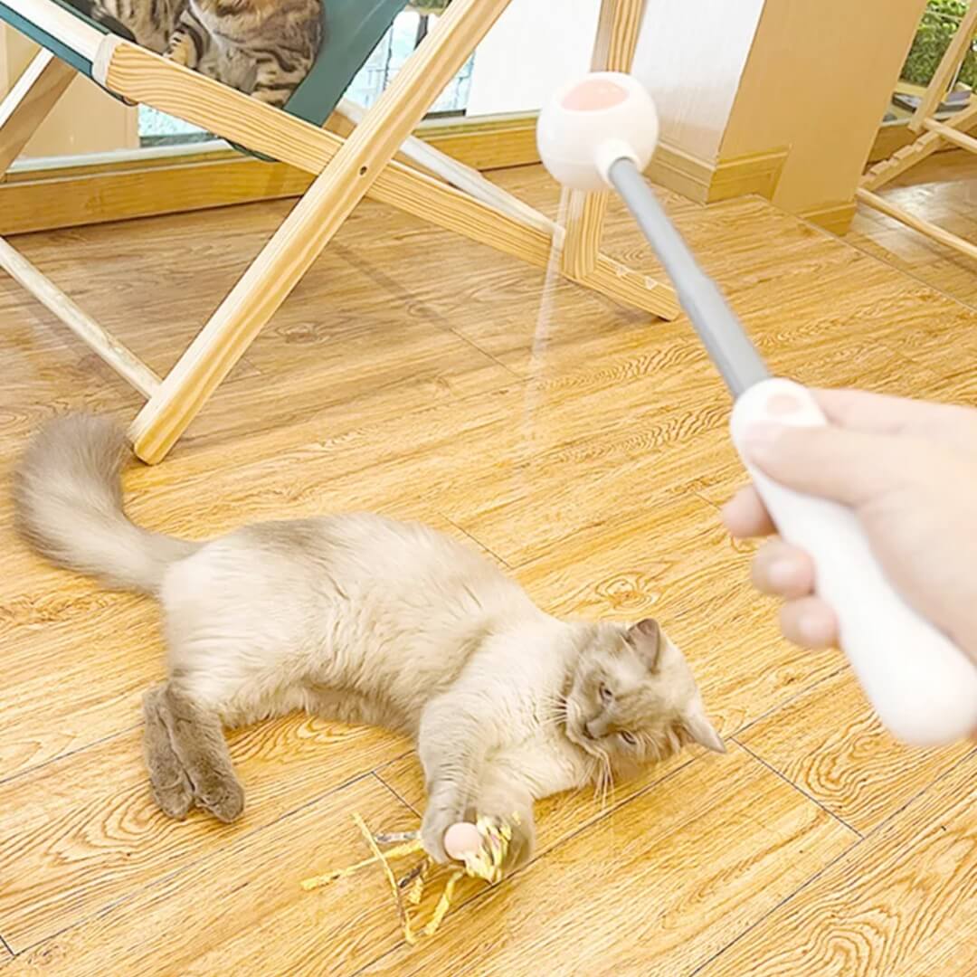 Kitty Rocket  2-in-1 Retractable Cat Wand