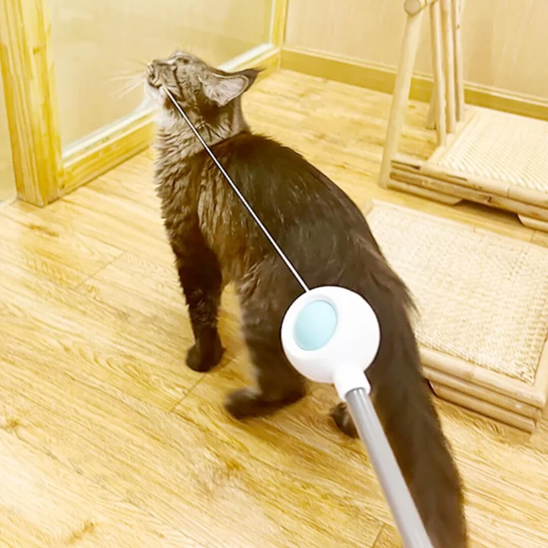 Kitty Rocket  2-in-1 Retractable Cat Wand