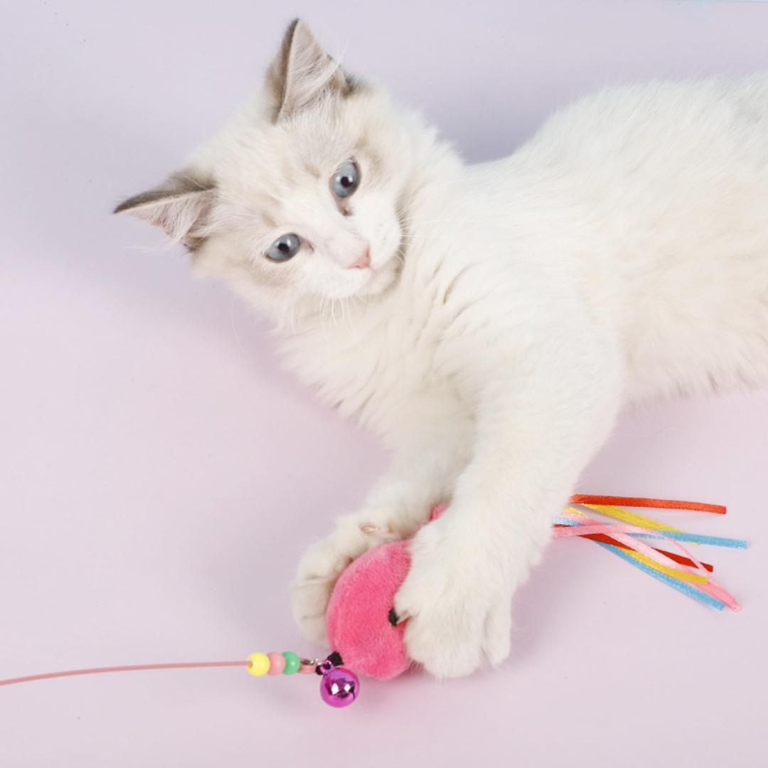 Flying High: Unleashing the Fun with Feather Teaser Cat Toys (Buy 1 Get 1)