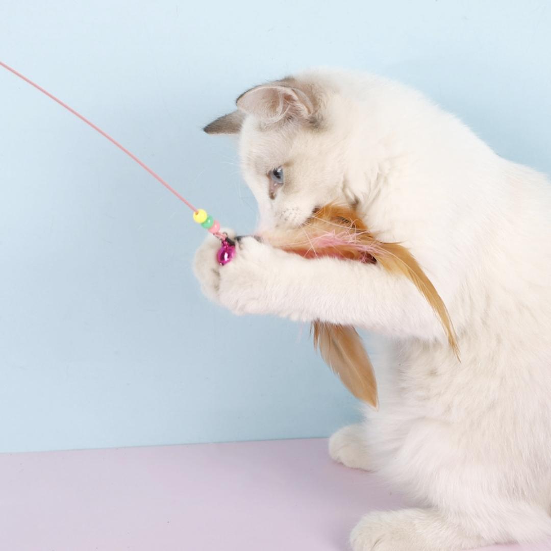 Flying High: Unleashing the Fun with Feather Teaser Cat Toys (Buy 1 Get 1)