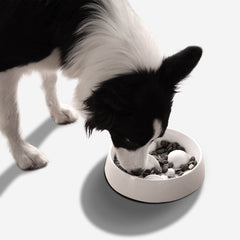 Slow feeder cat bowl dog bowl cervical vertebra protection anti-suffocation plate bowl