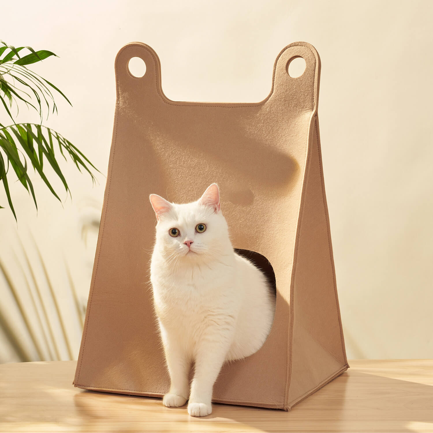 AyipetsStore-FoldableFeltCuteCatNestHide_SeekBag-2