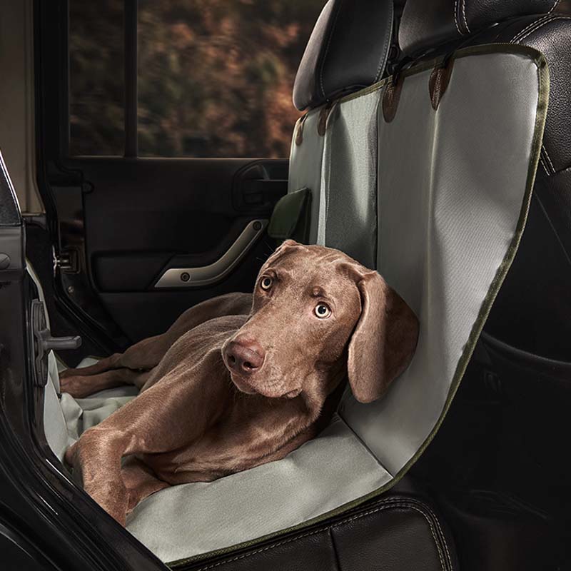 AyipetsStoreAnti-scratchWaterproofDogCarSeatCover-_5