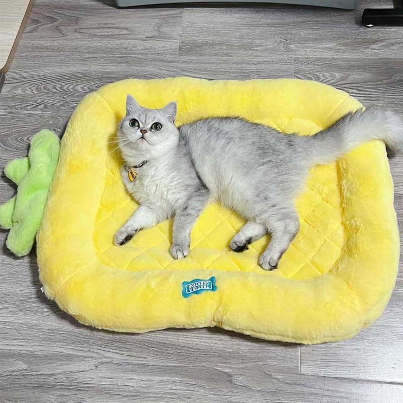 AyipetsStoreCuteFurryCat_DogCushionBed-_3