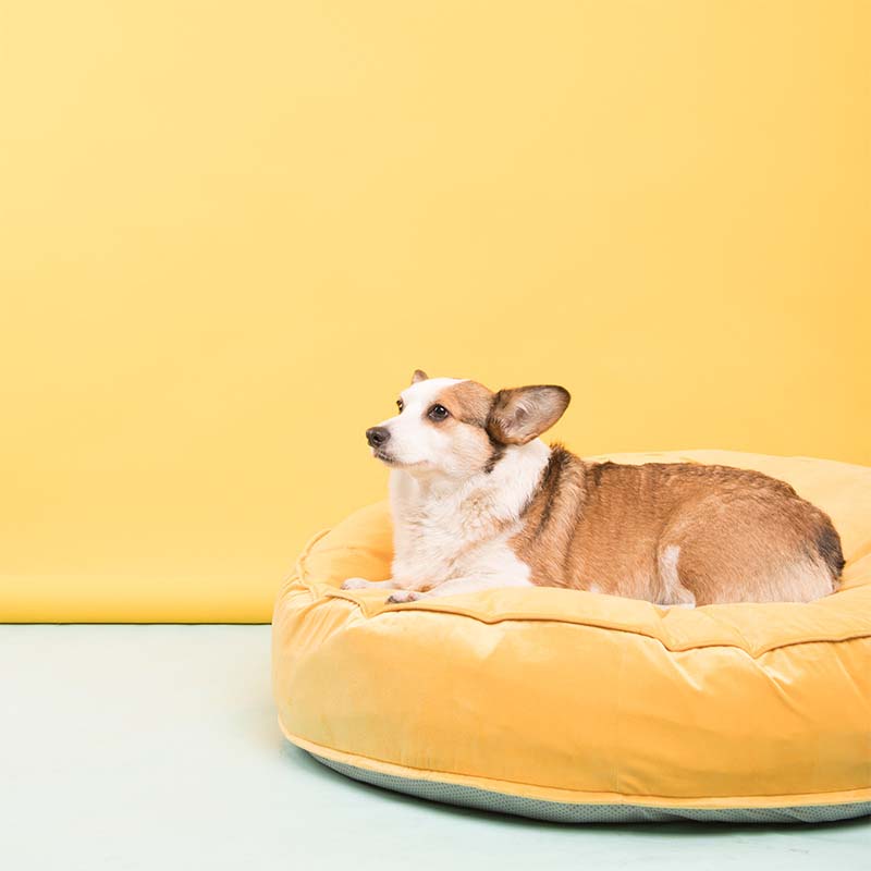 AyipetsStoreSoftRoundVelvetIceSilkCoolingDogBed-_13