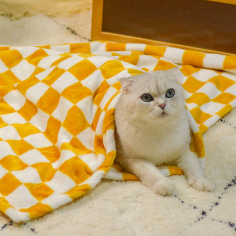 AyipetsStoreStylishChequeredFlannelPetBlanketDog_CatBlanket-_12