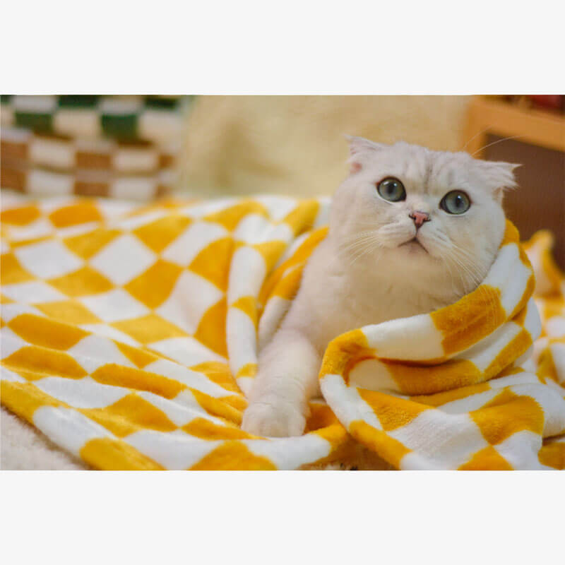 AyipetsStoreStylishChequeredFlannelPetBlanketDog_CatBlanket-_9