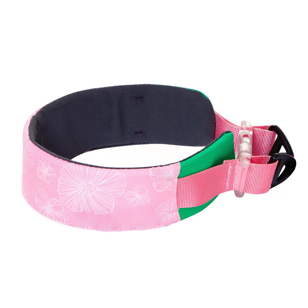 AyipetsStoreStylishComfortableNoPullDogCollar-_4