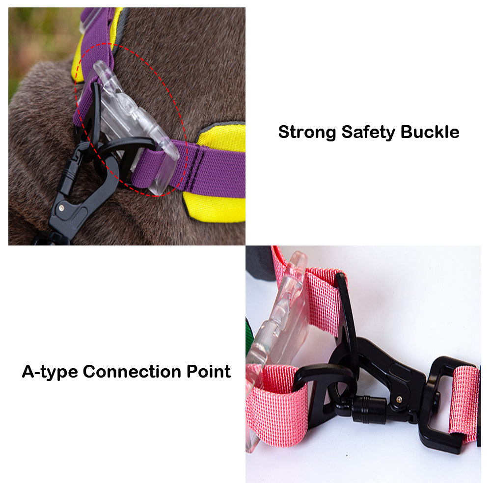 AyipetsStoreStylishComfortableNoPullDogCollar-_5