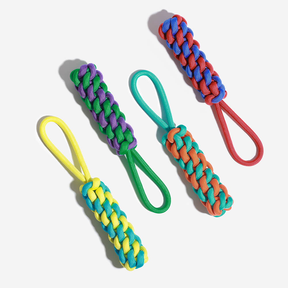 AyipetsStore_BraidedRopeStickTugDogToyColorClash1