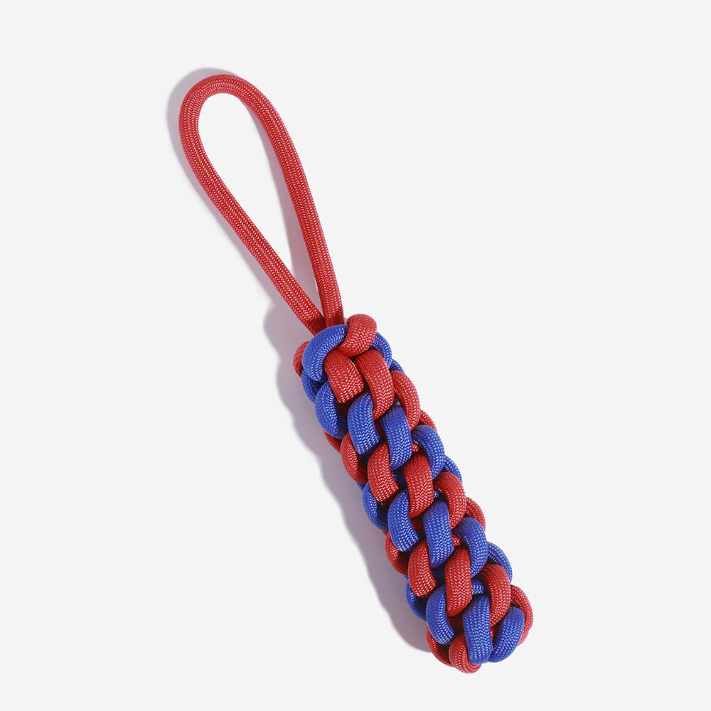 AyipetsStore_BraidedRopeStickTugDogToyColorClash2