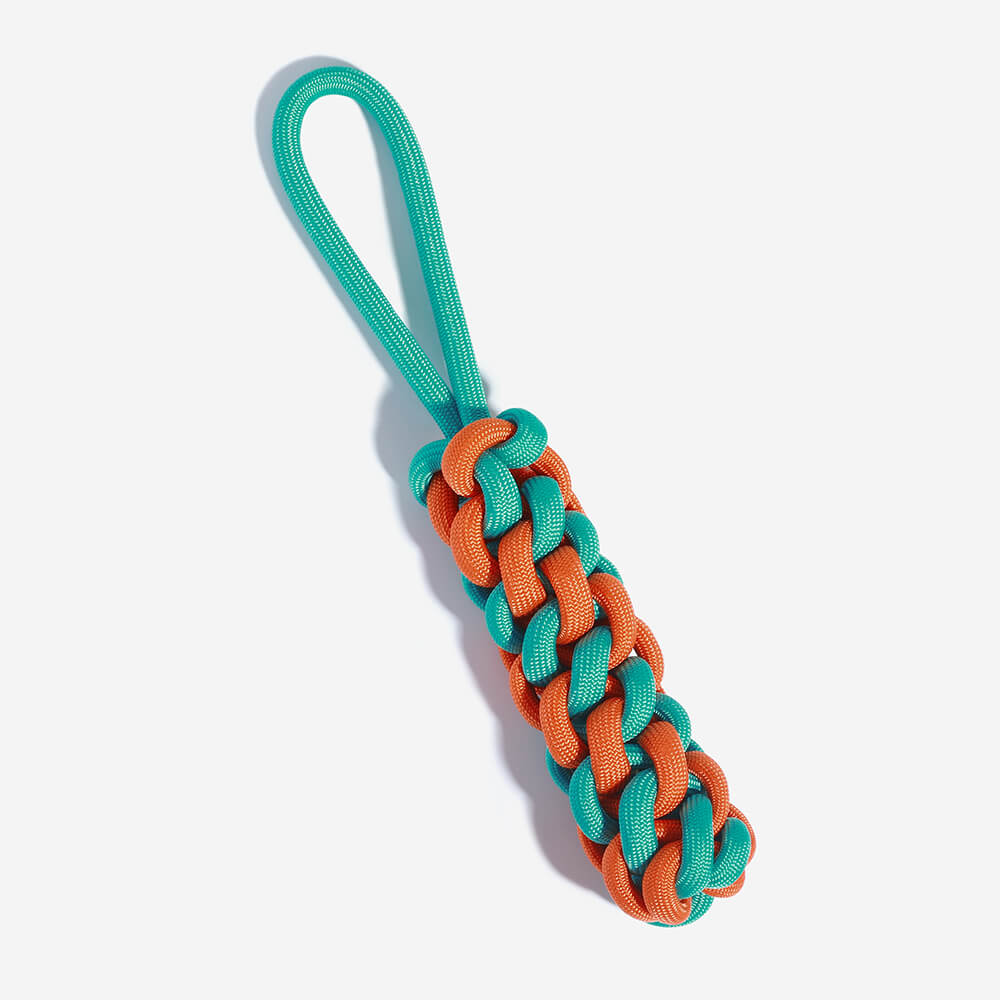 AyipetsStore_BraidedRopeStickTugDogToyColorClash4