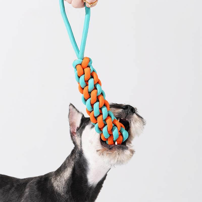 AyipetsStore_BraidedRopeStickTugDogToyColorClash9