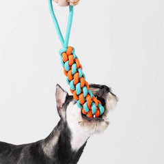 AyipetsStore_BraidedRopeStickTugDogToyColorClash9