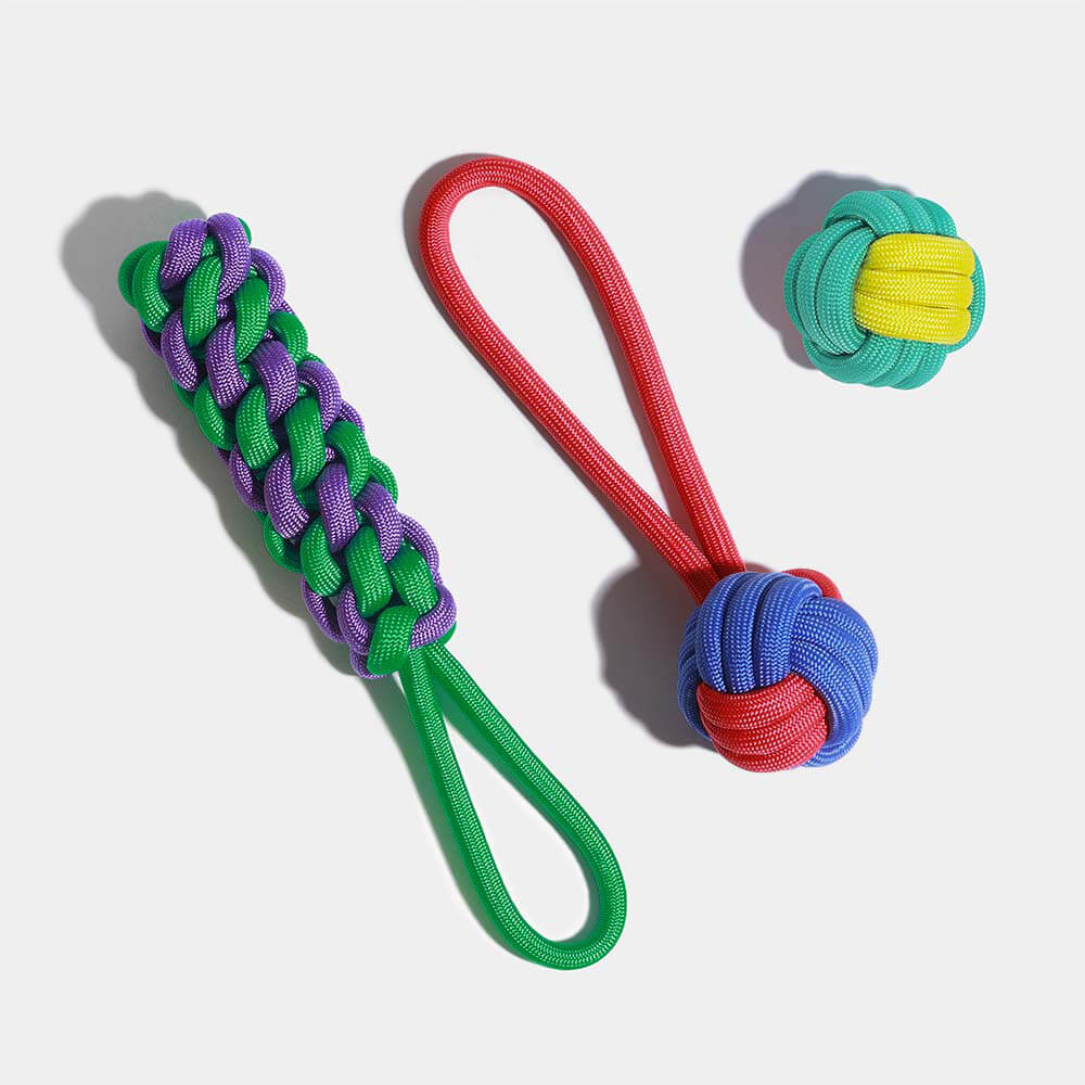 AyipetsStore_KnotsRopeDogToySetColorClash10