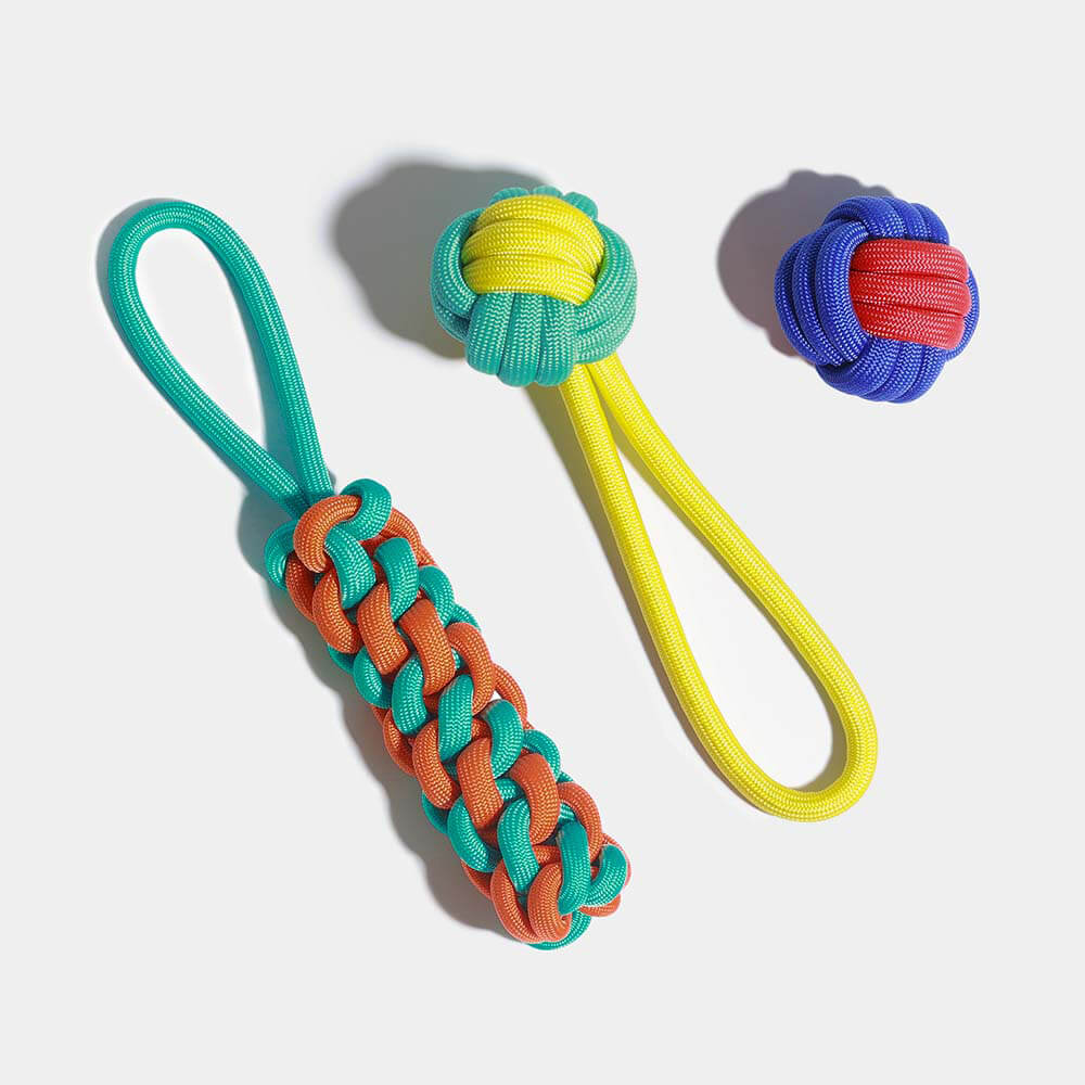 AyipetsStore_KnotsRopeDogToySetColorClash11