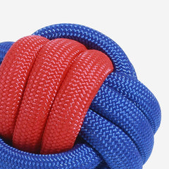 AyipetsStore_KnotsRopeDogToySetColorClash1