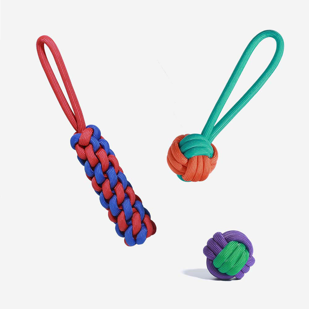 AyipetsStore_KnotsRopeDogToySetColorClash2