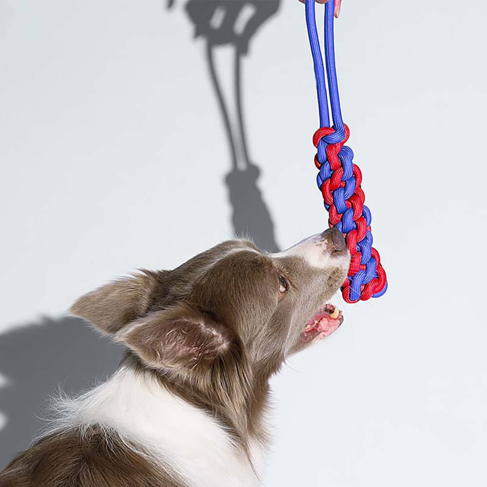 AyipetsStore_KnotsRopeDogToySetColorClash4