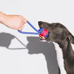 AyipetsStore_KnotsRopeDogToySetColorClash5