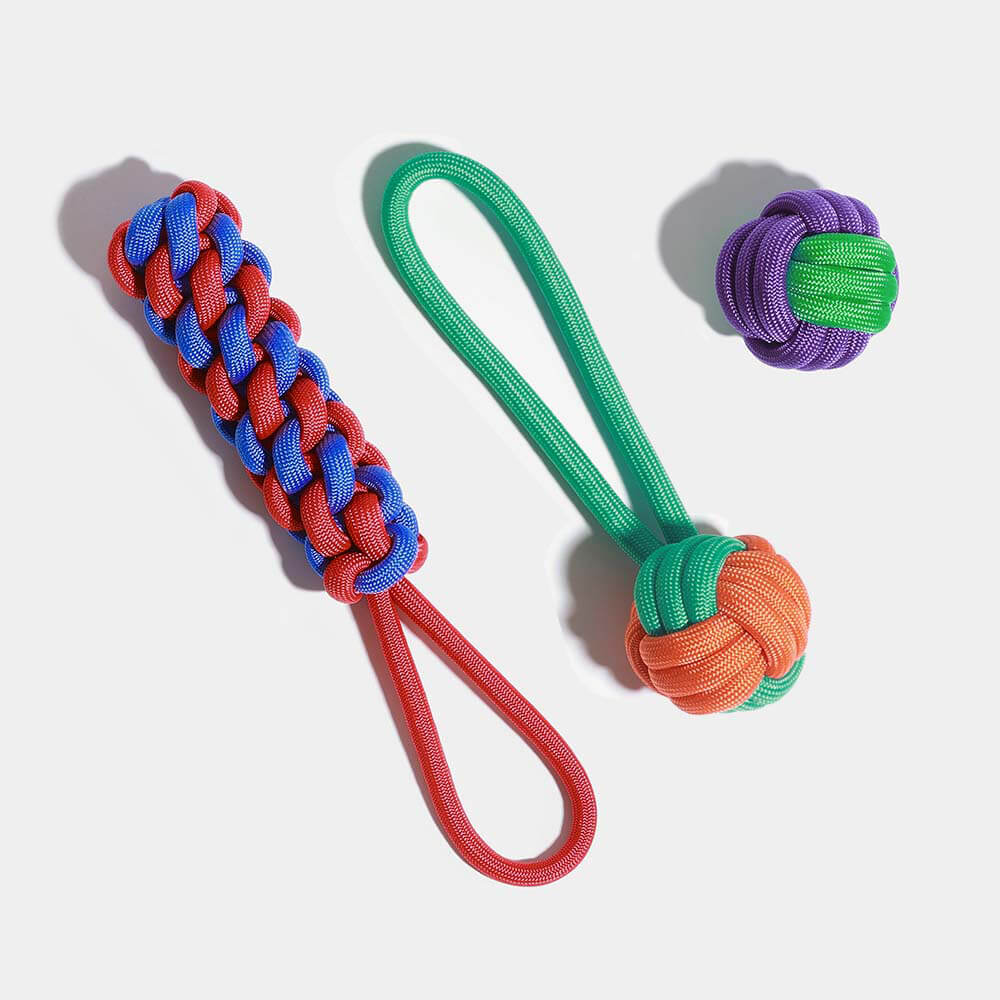 AyipetsStore_KnotsRopeDogToySetColorClash8