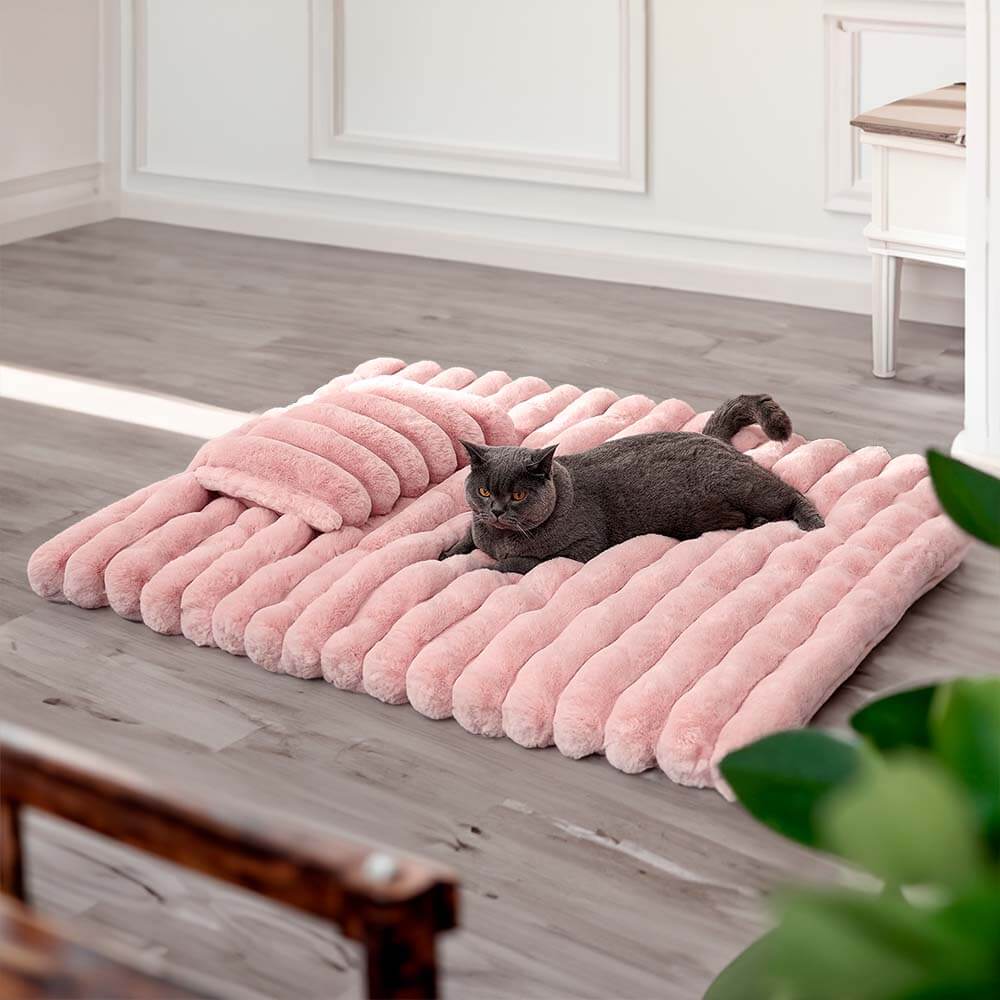 AyipetsStore_LuxuryDecorativeCozyPetMat12