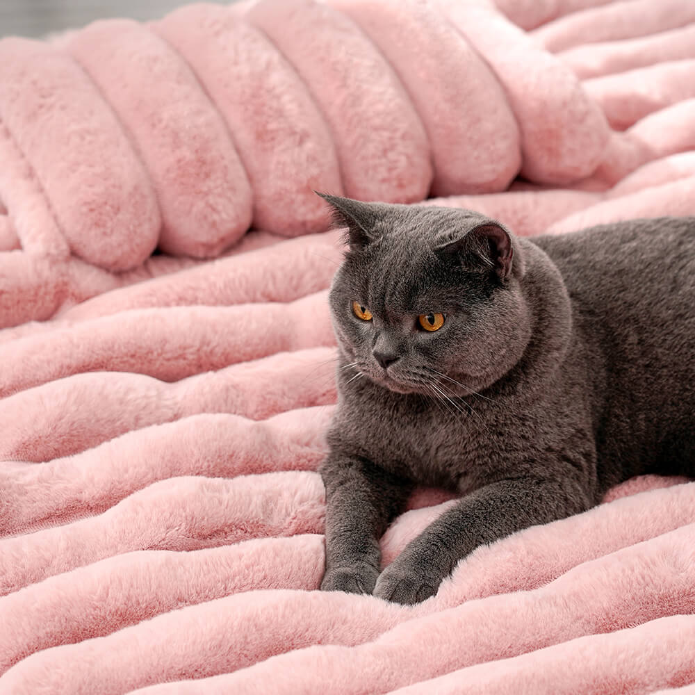 AyipetsStore_LuxuryDecorativeCozyPetMat4