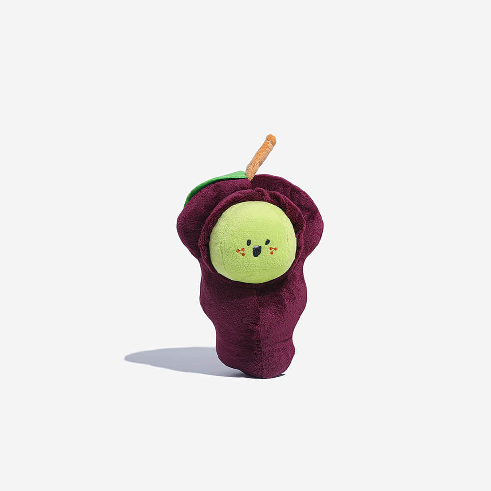 AyipetsStore_PlushSqueakyDogToyFruit7