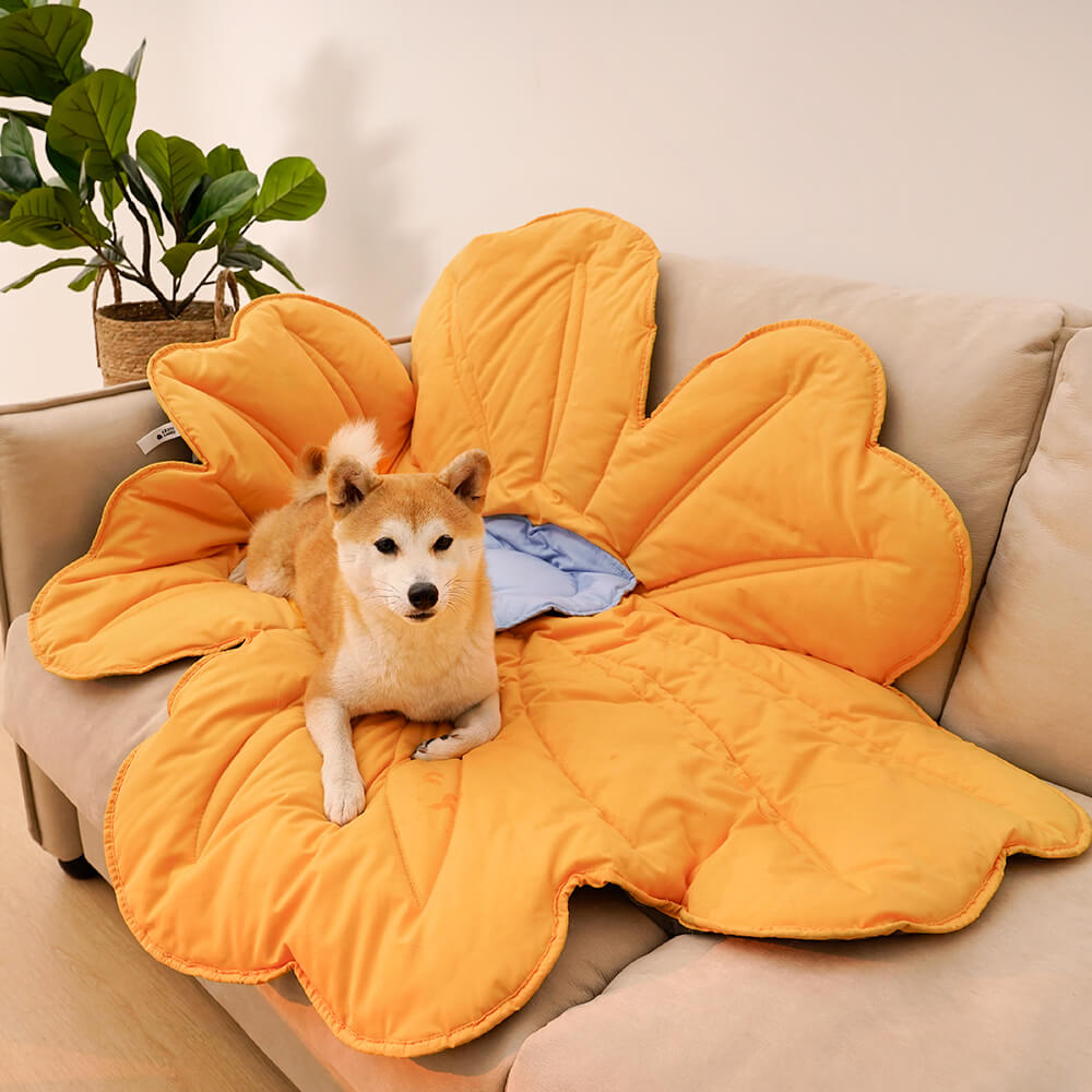 AyipetsStore_SuperLargeFlowerShapeHumanMatDogBlanketB1