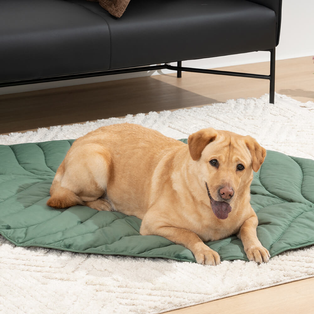 AyipetsStore_SuperLargeHighQualityLeafShapeHumanMatDogBlanket1