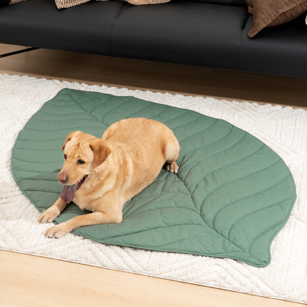 AyipetsStore_SuperLargeHighQualityLeafShapeHumanMatDogBlanket102