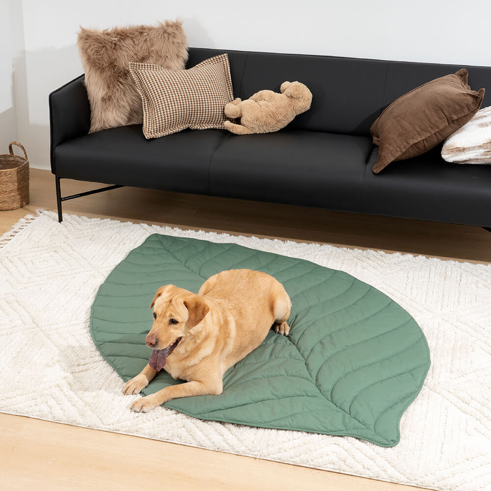 AyipetsStore_SuperLargeHighQualityLeafShapeHumanMatDogBlanket11