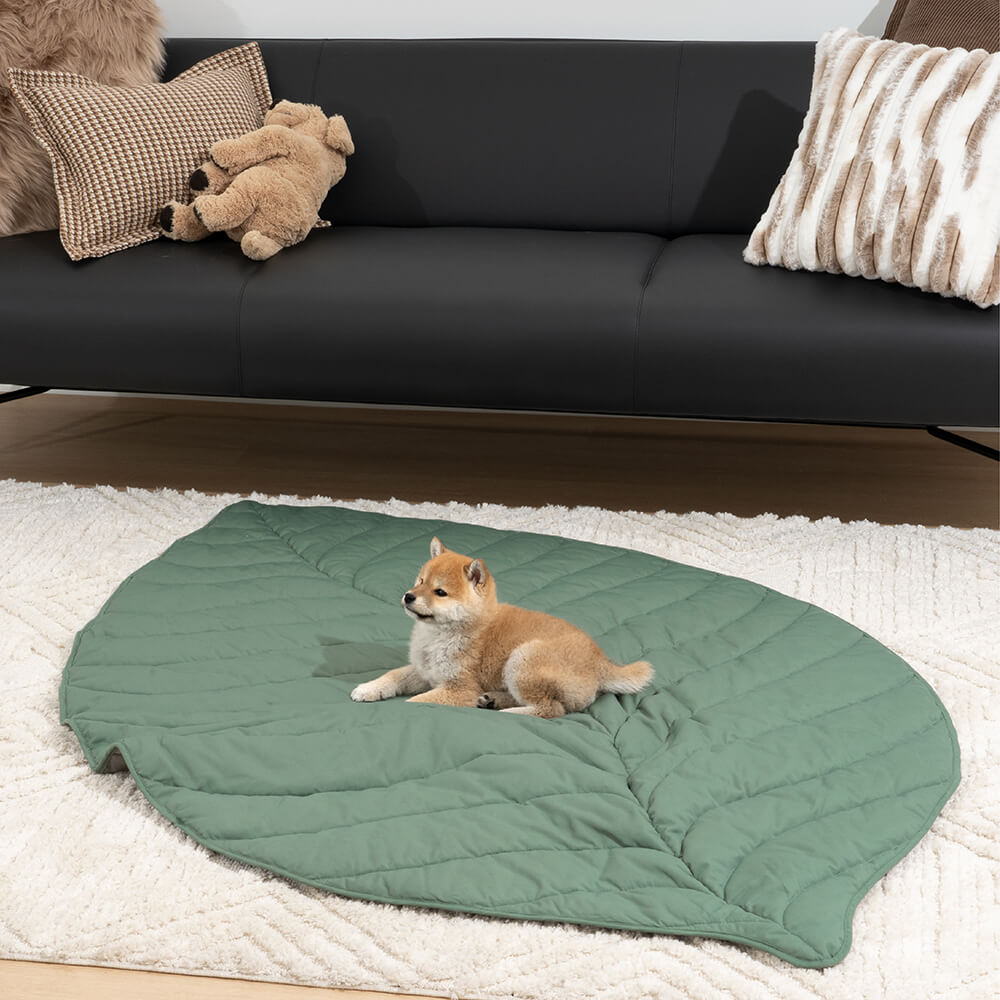 AyipetsStore_SuperLargeHighQualityLeafShapeHumanMatDogBlanket6