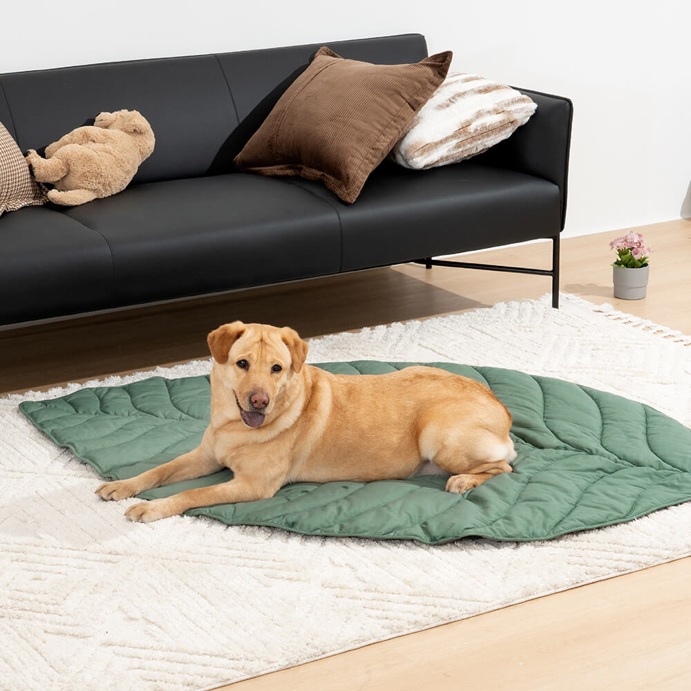 AyipetsStore_SuperLargeHighQualityLeafShapeHumanMatDogBlanket7