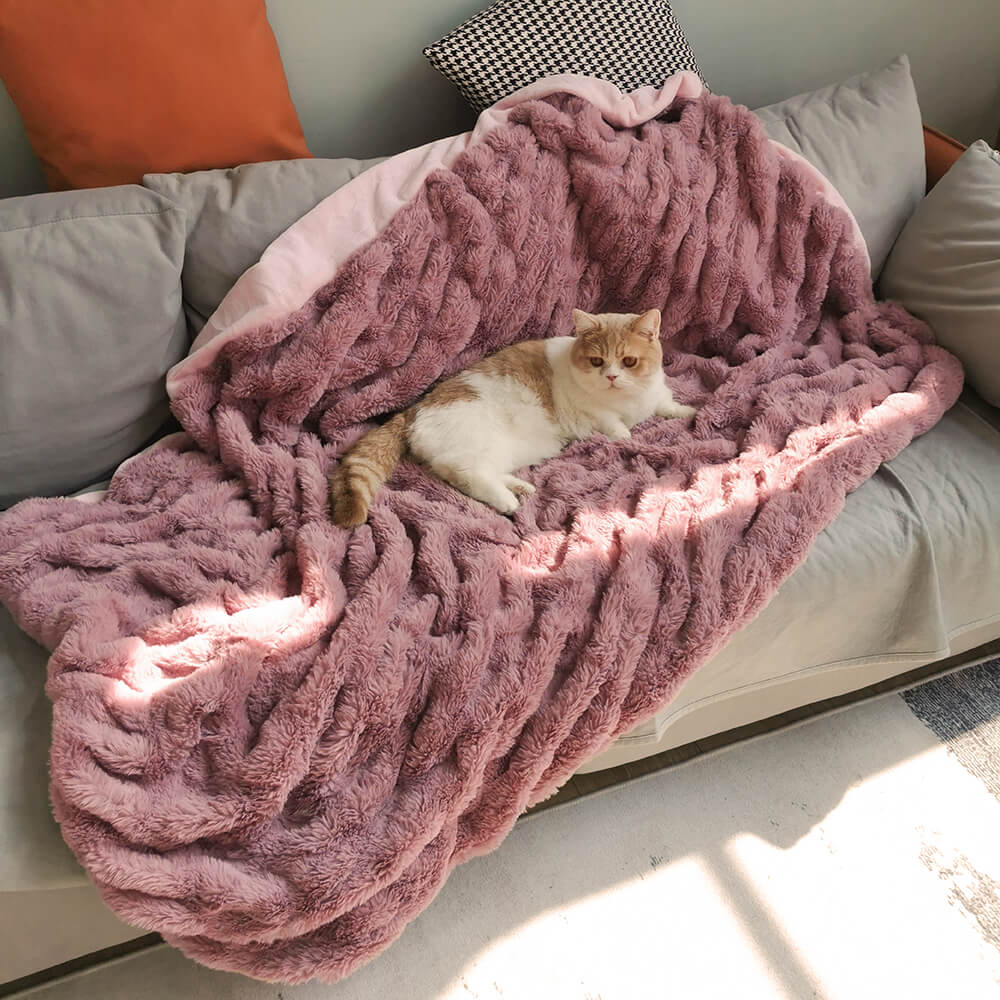 AyipetsStore_SuperSoftFauxFurVelvetPetThrowBlanket10