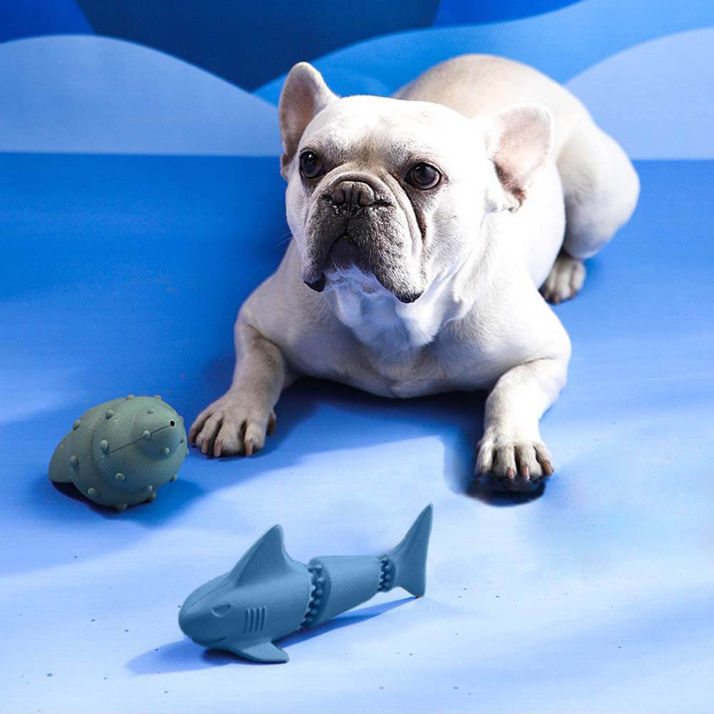 AyipetsStore_TreatDispenserDogToySetOcean7