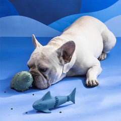 AyipetsStore_TreatDispenserDogToySetOcean8