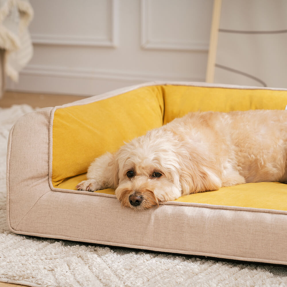 AyipetsStore_UltimateLoungerFullSupportComfortableOrthopedicDogBed4