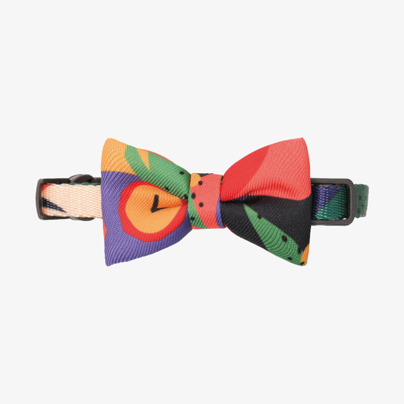 ColourfulSeriesCatCollar