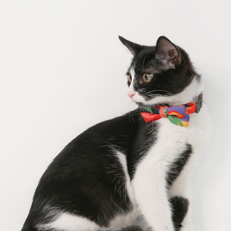 ColourfulSeriesFunnyBowTieCatCollarWhite