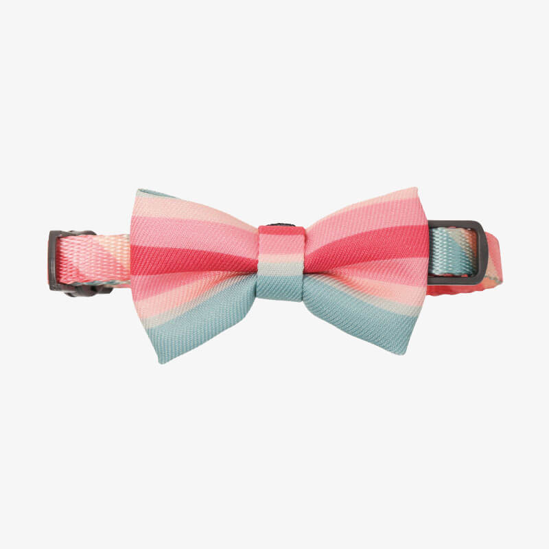 ColourfulCatCollar