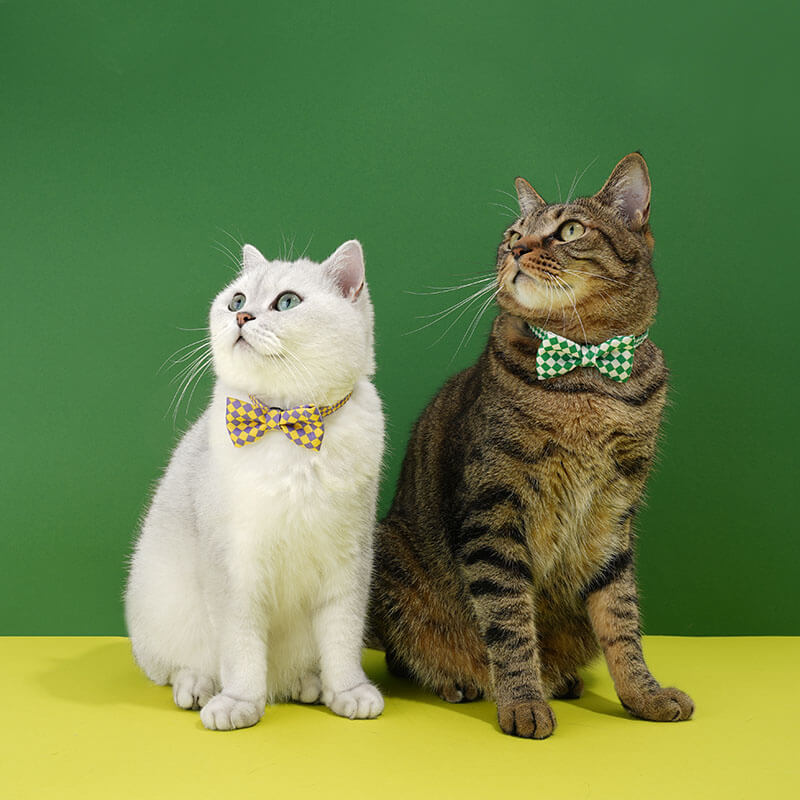 ColourfulSeriesFunnyBowTieCatCollarGreen