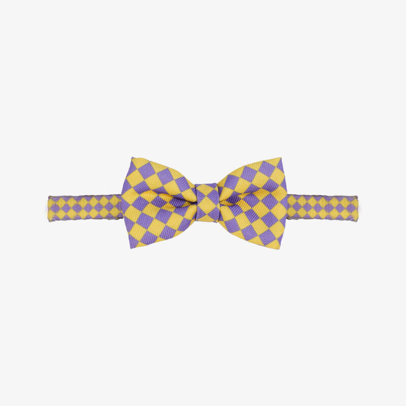 FunnyBowTieColourfulSeries