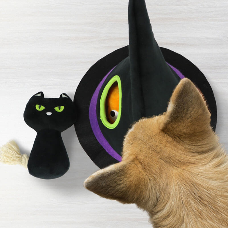 Halloween Witch Hat Squeaky Pumpkin Black Cat Eyes Dog Four-Piece Set Toys