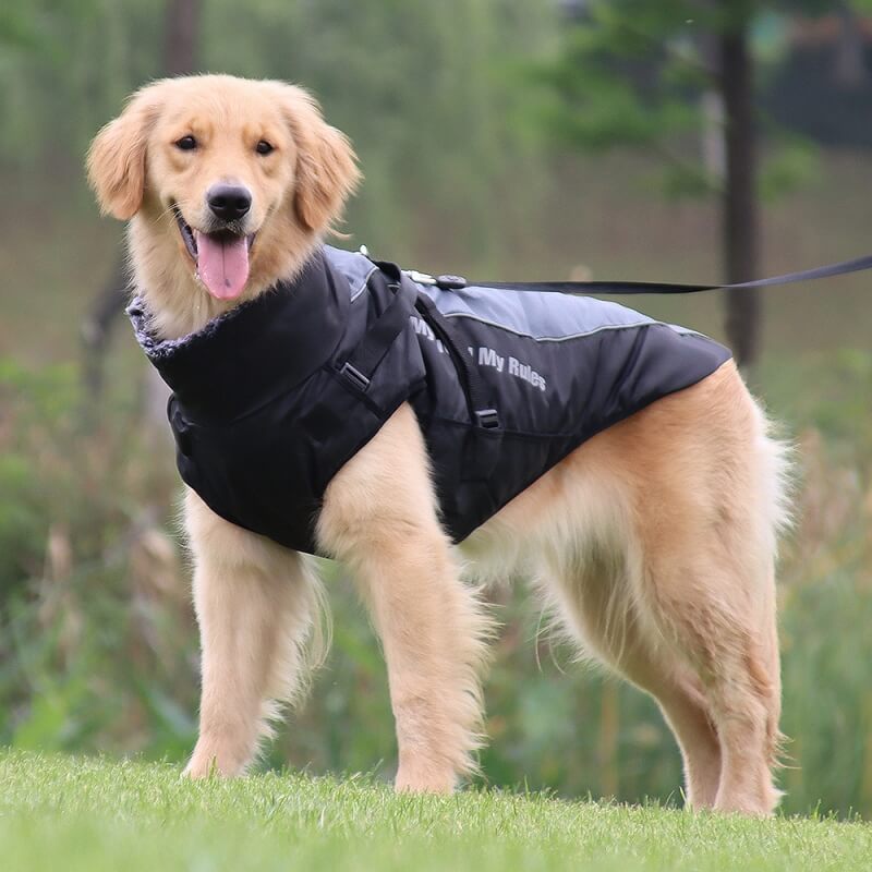 HighCollarWarmDogJacketThickenedDogCottonCoat02