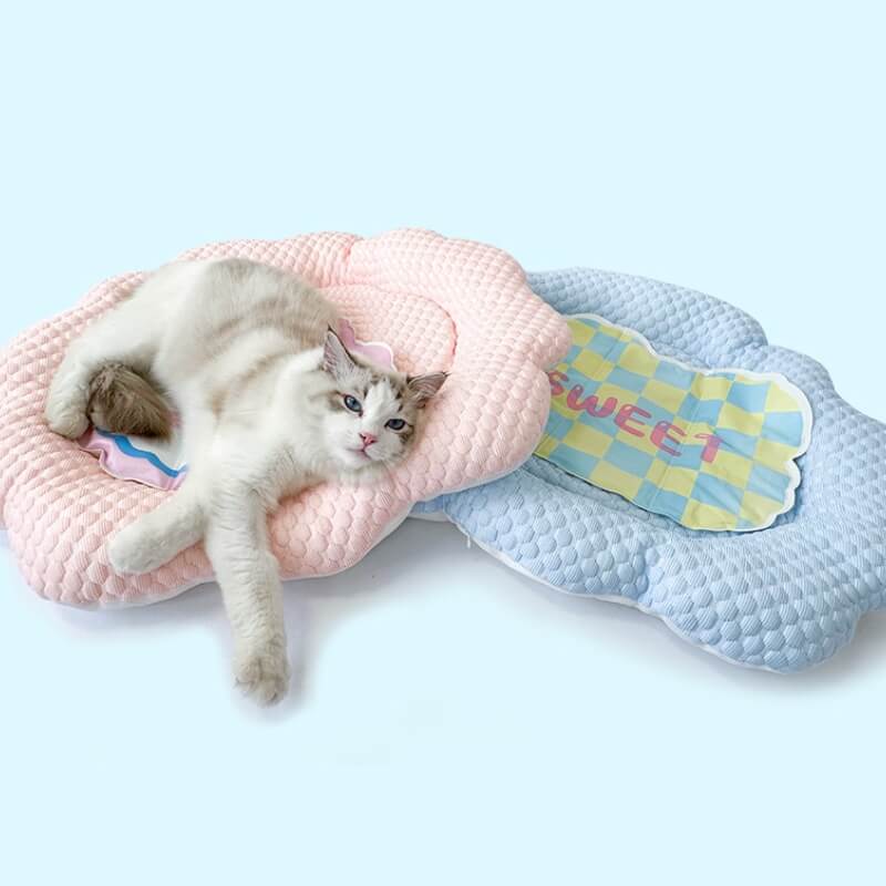 CloudCoolFeelingCatBed