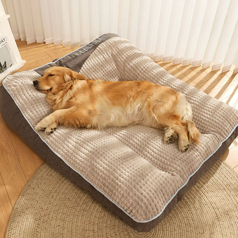 Large Thick Scratch-resistant Spine Protection Dog Cushion Bed