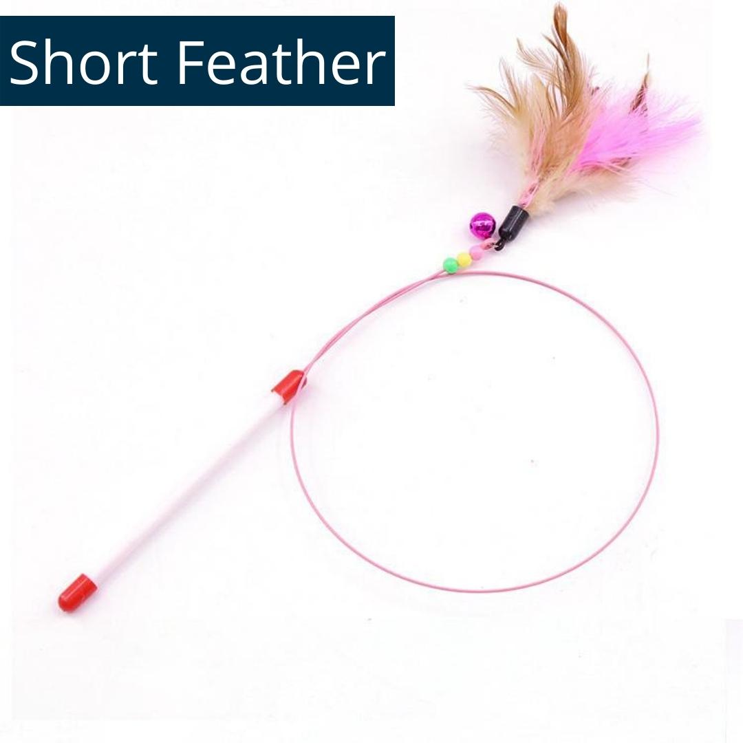 Flying High: Unleashing the Fun with Feather Teaser Cat Toys (Buy 1 Get 1)