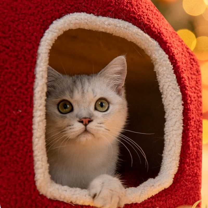 CatVillaWarmSemi-enclosedCatCave