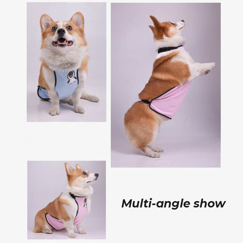 DogBellyCoverMultiAngleShow